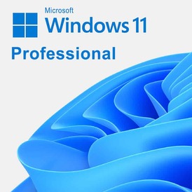 Microsoft Windows 11 Pro - License key