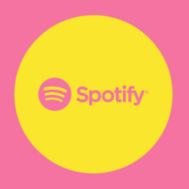 Spotify India -12 Months Gift card(Stockable)