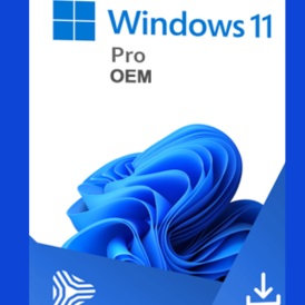 Windows 10 & 11 Pro 1PC Key Online