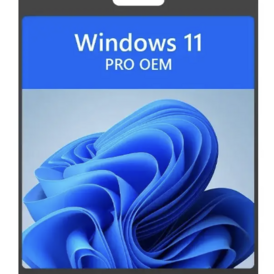 Windows 10/11 Pro OEM Lifetime Key