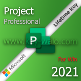 Microsoft Project 2021 Professional For Win