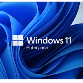 Windows 11 Enterprise Windows Key (Global)