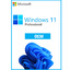 Windows10/11 Pro OEM Online 1 Pc Key