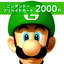 Nintendo eShop Gift Card 2000 Yen Japan