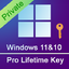 Windows 10 & 11 Pro 1PC Online PRIVATE Key