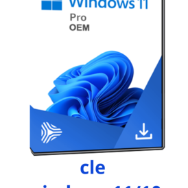 Windows 11 Pro