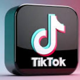 tiktok followers