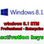 windows 8.1 RTM Professional;Enterprise