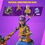 Fortnite - Natural Constructor Pack + 1,500