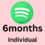 Spotify Premium Individual 6 Month