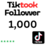 1000 Real Tiktok Follower Lifetime free views