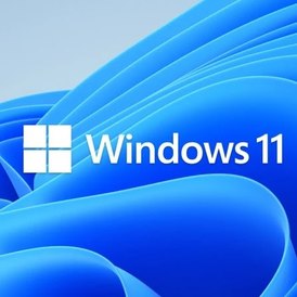 Windows 10/11 RTM Professional VL:MAK