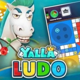 Yalla Ludo USD 25$ ( 13.580k ) Diamonds