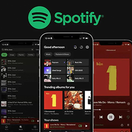 Spotify 12-month Premium Account