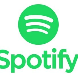 Spotify Premium Individual 12 Months Your Acc