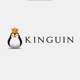 Kinguin 250