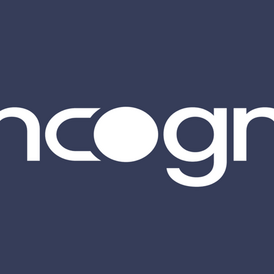 Incogni Annual Subscription (best offer)