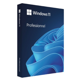 Windows 11 Professional OEM