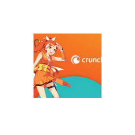 CRUNCHYROLL Premium Mega Fan 12 Month Global